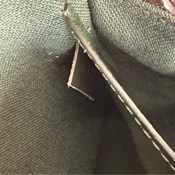 LOUIS VUITTON | Félicie Strap & Go monogram khaki M80091 - Picture 6 of 15